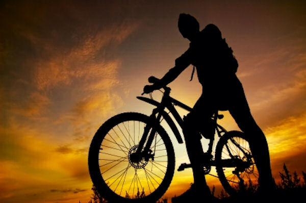 Go to Bike Walk Bus Week